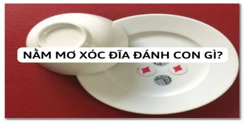 Mơ xóc đĩa đánh con gì