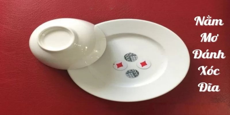 Mơ xóc đĩa đánh con gì